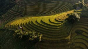 best places to visit in Vietnam: beautiful rice fields and peaceful lakes.