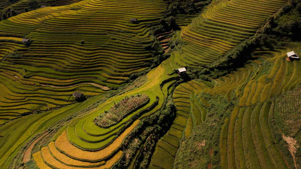 Vietnam's Best Rice Fields - 4 Viewpoints In Mu Cang Chai