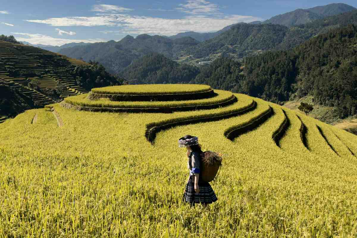 7 Best Places To Visit In Vietnam North Vietnam Trip