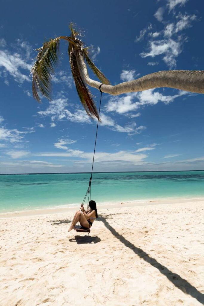 Bikini Beach Palmtree Swing