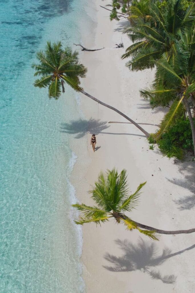 Omadhoo Bikini Beach with palm trees and clear turquoise waters.