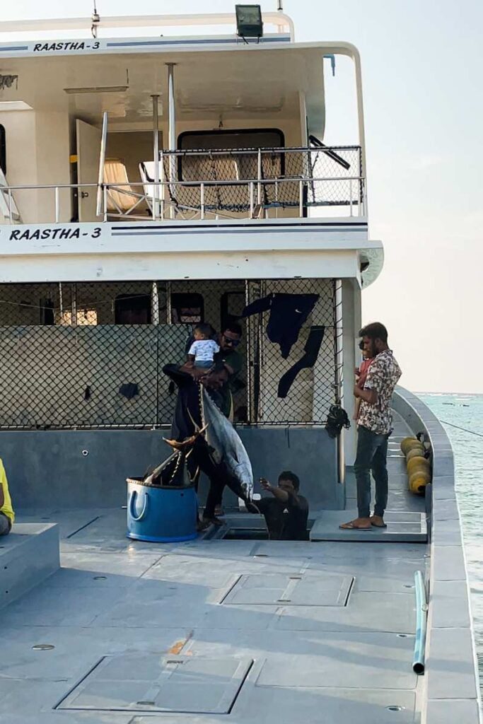 Fishing Boat in Ukulhas