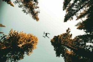 digital gear in Forest