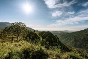 Top of Little Adam's Peak