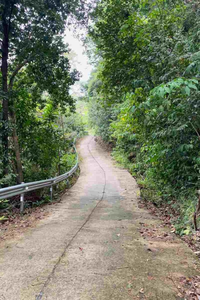 Koh Mak Street: Island's Lively Hub