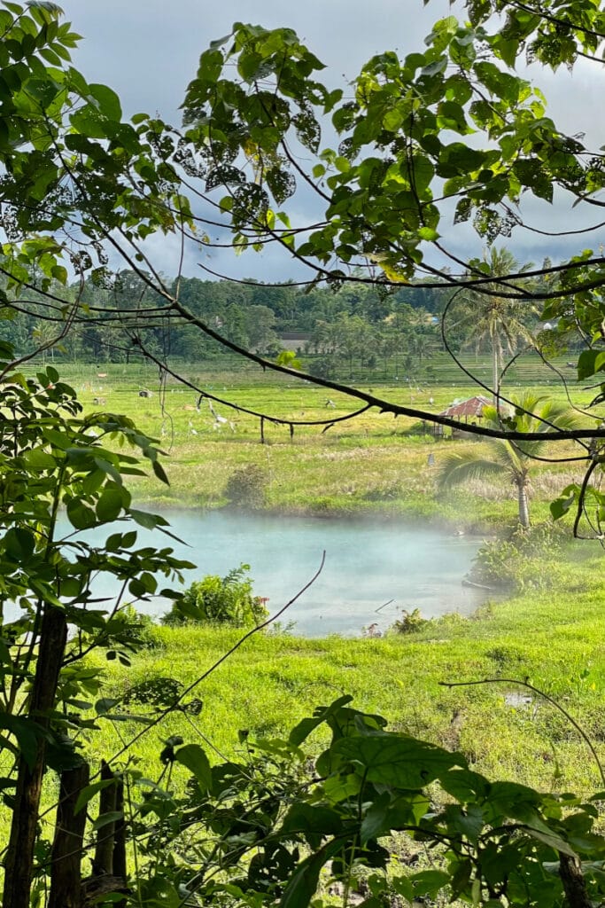 Ranolewo Hot Springs surrounded by lush green tropical nature