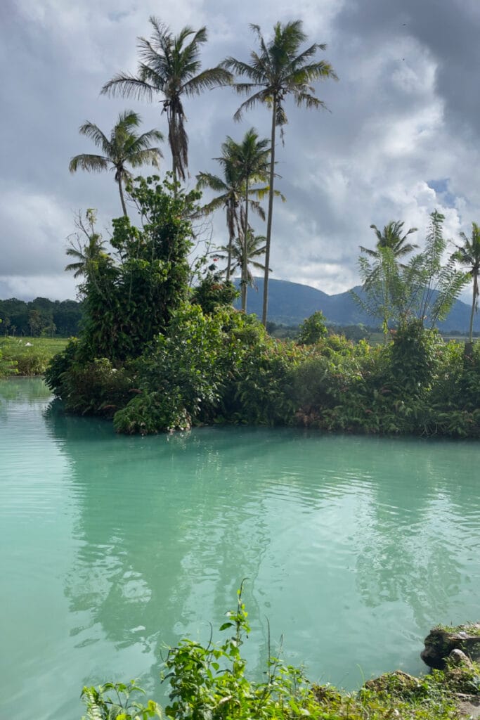 Ranolewo hot spring with palm trees and lush green nature in Sulawesi