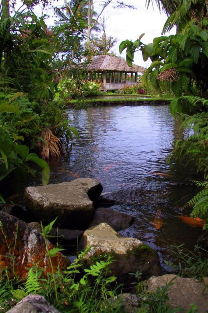 Gardenia Country Inn lake with calm water and greenery