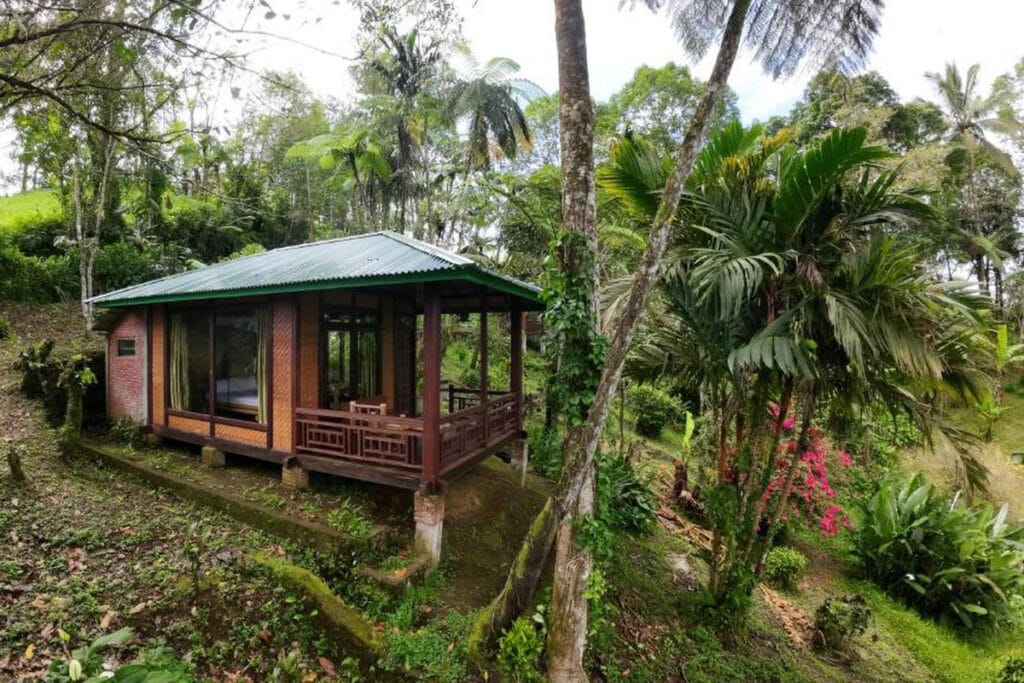 Rimba Eco Resort surrounded by lush tropical forest
